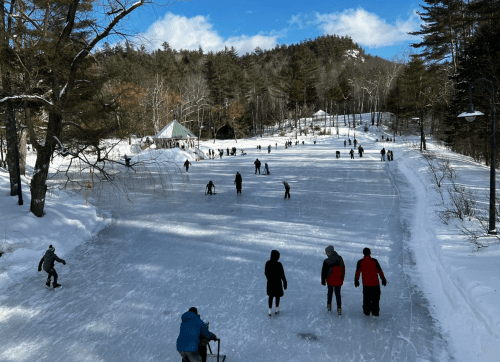 A winter scene of people ice skating on a frozen pond surrounded by snow-covered trees and a clear blue sky.