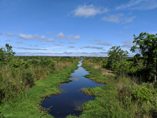 A serene landscape featuring a winding waterway surrounded by lush greenery and a clear blue sky.