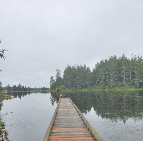 A wooden dock extends into a calm lake, surrounded by lush trees under a cloudy sky.