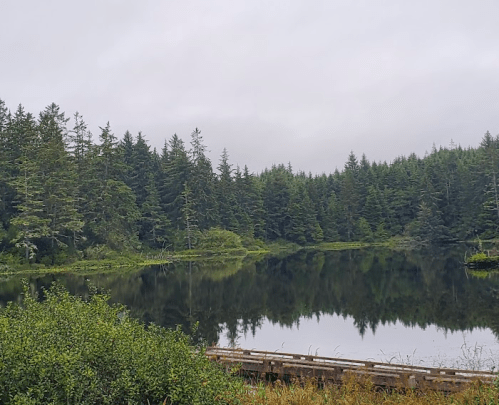 A serene lake surrounded by lush green trees under a cloudy sky, with a wooden path along the water's edge.