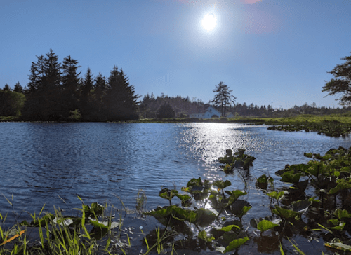 A serene lake surrounded by trees, with sunlight reflecting on the water and a house in the background.