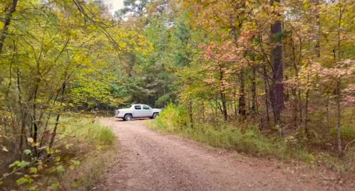 A gravel path leads through a colorful forest, with a parked white truck visible in the background.