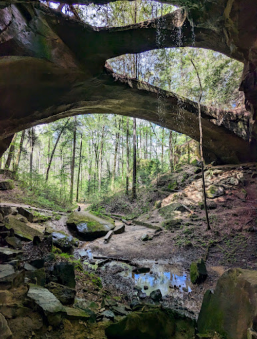 A serene forest scene featuring a natural stone arch, lush greenery, and a small stream reflecting the trees above.