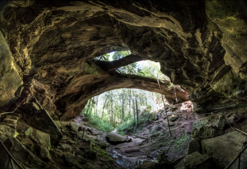A rocky cave with a natural arch, surrounded by lush greenery and trees, illuminated by soft sunlight.