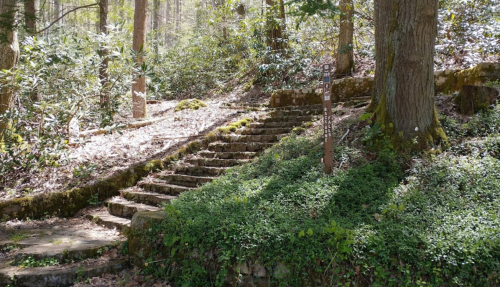 Stone steps lead up through a lush, green forest with trees and underbrush, inviting exploration.