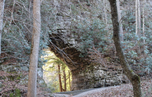 A natural stone archway surrounded by trees in a forested area, with light filtering through the opening.