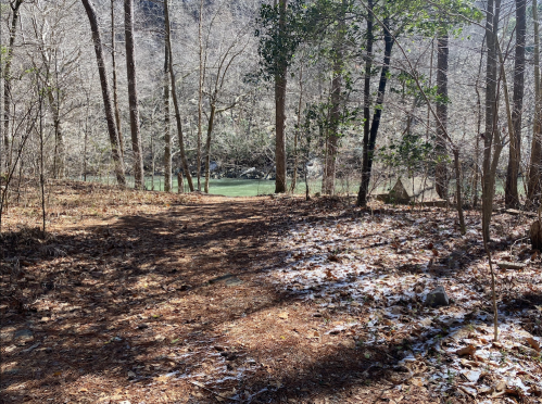 A forest path leads to a river, surrounded by trees and scattered leaves, with a hint of snow on the ground.