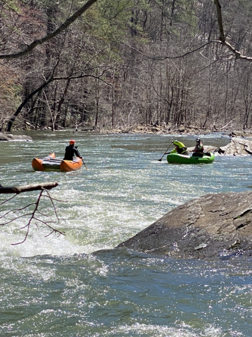 Two kayakers navigate a river surrounded by trees and rocky banks on a sunny day.