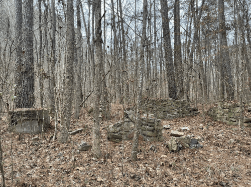 Ruins of stone structures surrounded by trees and fallen leaves in a dense forest.