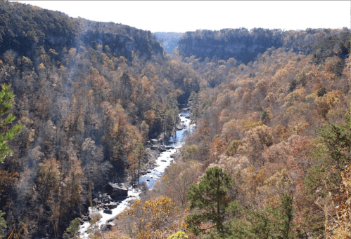 A scenic view of a river winding through a colorful autumn forest in a deep valley.
