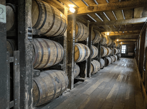 A dimly lit storage room lined with wooden barrels stacked against the walls.