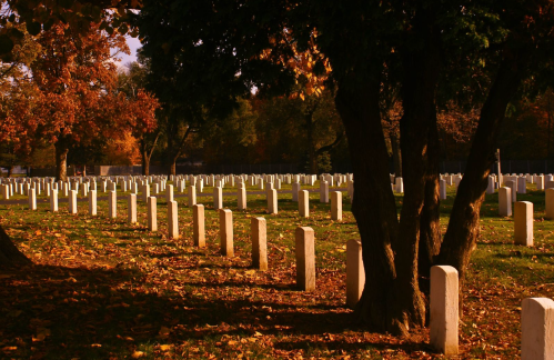 A serene cemetery with white gravestones surrounded by trees and autumn foliage.