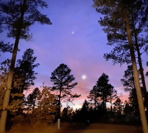 A serene twilight scene with tall trees silhouetted against a colorful sky, featuring stars and soft clouds.
