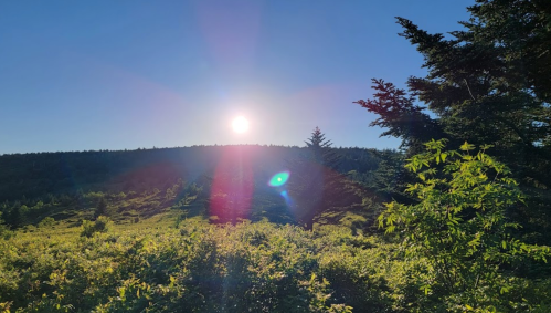 A bright sun shines over a lush green landscape with trees and a clear blue sky.