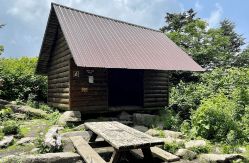 A small wooden cabin with a metal roof, surrounded by greenery and a picnic table in front.