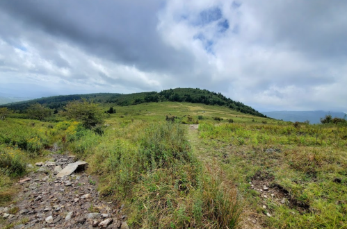 A scenic view of a grassy hillside under a cloudy sky, with a rocky path leading through the lush greenery.