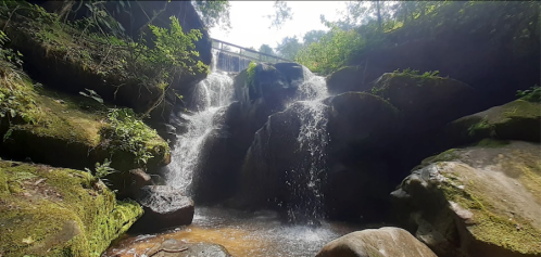 A serene waterfall cascading over moss-covered rocks, surrounded by lush greenery and dappled sunlight.