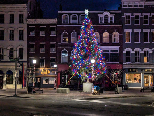 A brightly lit Christmas tree adorned with colorful lights stands in a city square at night, surrounded by buildings.