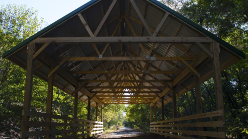 A wooden shelter with a roof, overlooking a path surrounded by trees and greenery.
