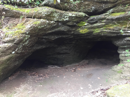 A rocky cave entrance surrounded by moss and leaves, with a dirt floor and shadows inside.