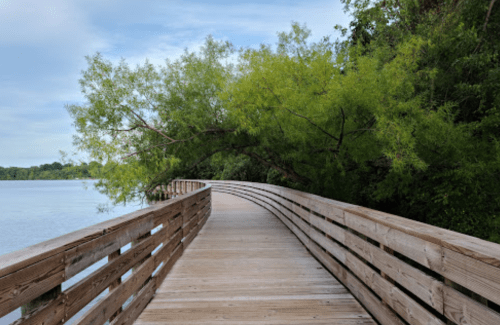 A wooden boardwalk curves along a calm lake, surrounded by lush greenery and trees.