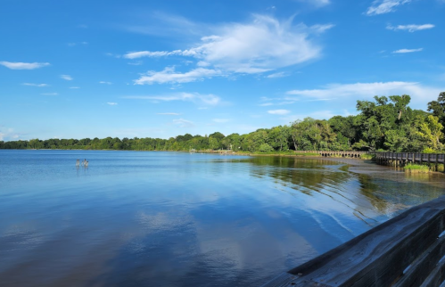 A serene lakeside view with calm water, lush greenery, and a wooden boardwalk under a clear blue sky.