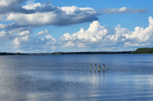 A serene lake scene with calm water, distant trees, and fluffy clouds reflecting in the sky.