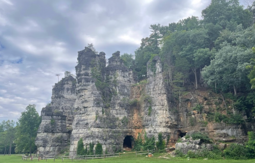 Rocky cliffs surrounded by lush greenery under a cloudy sky, with visible caves and a grassy area in the foreground.