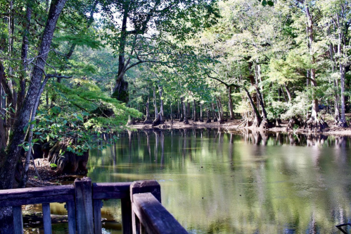 A serene river scene surrounded by lush trees, reflecting greenery on calm water under a clear sky.
