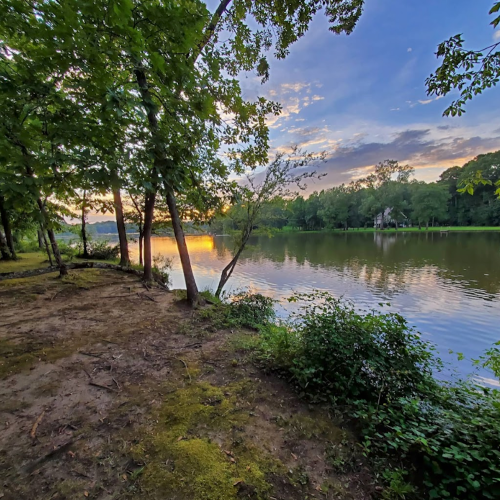 A serene river scene at sunset, framed by trees and lush greenery along the water's edge.