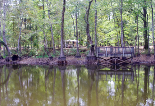 A serene pond surrounded by trees, with a wooden dock reflecting in the calm water.