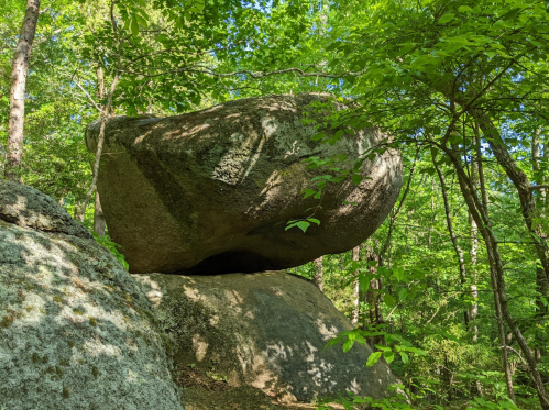 A large, rounded boulder balanced on a smaller rock, surrounded by lush green trees and foliage.