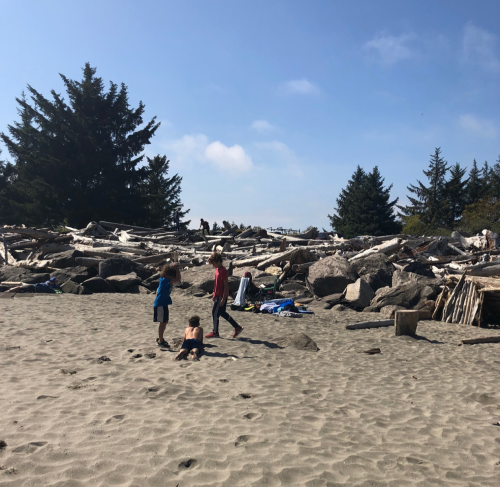 Children playing on a sandy beach with driftwood and trees in the background under a clear blue sky.