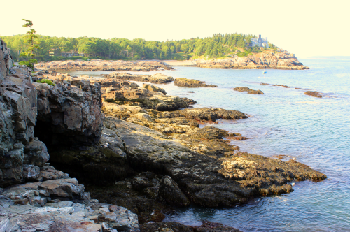 Rocky coastline with tide pools and distant trees, under a soft golden light, leading to a scenic hilltop.