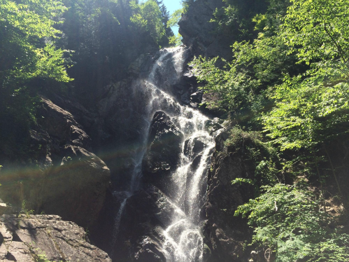 A cascading waterfall flows down rocky cliffs, surrounded by lush green trees and sunlight filtering through the leaves.