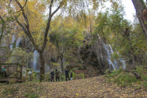 A scenic view of a waterfall surrounded by autumn foliage, with visitors admiring the landscape.