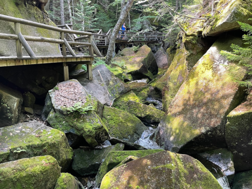 A rocky stream flows through a forested area, with wooden walkways and moss-covered boulders surrounding it.