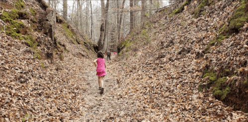 A child in a pink dress runs along a leaf-covered path in a wooded area, with trees lining the sides.