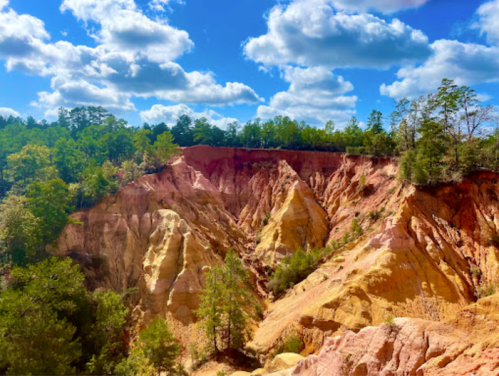 Colorful canyon landscape with layered rock formations and lush green trees under a bright blue sky with fluffy clouds.