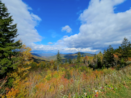 A scenic view of colorful autumn foliage with mountains and a blue sky dotted with clouds in the background.