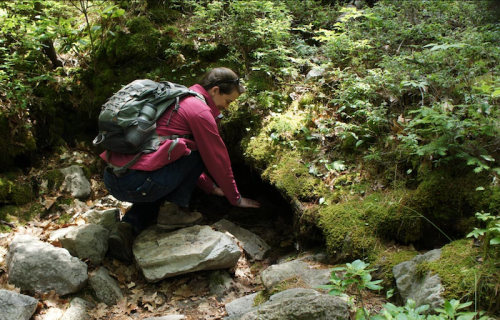 A person in a pink jacket kneels by a rocky area, exploring nature surrounded by greenery and moss.