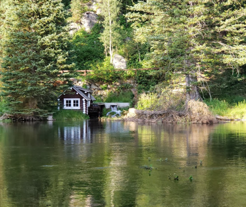 A serene lakeside scene featuring a small cabin surrounded by trees and reflecting in the calm water.