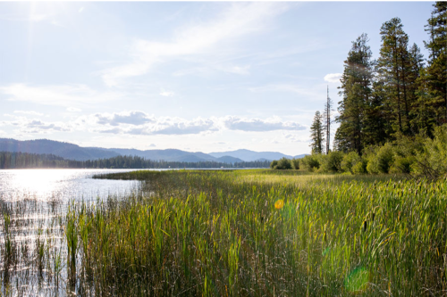 A serene lake surrounded by lush greenery and distant mountains under a bright sky with scattered clouds.