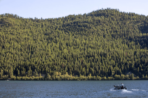 A boat on a calm lake surrounded by dense green forests and mountains under a clear blue sky.