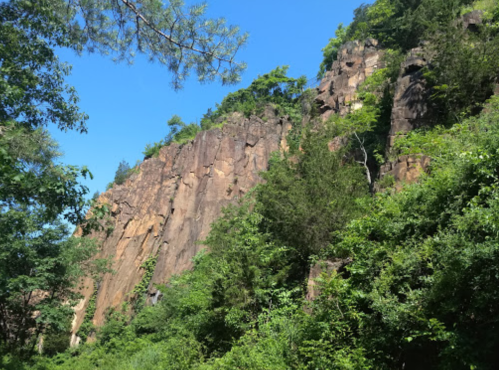 A rocky cliff surrounded by lush green trees under a clear blue sky.