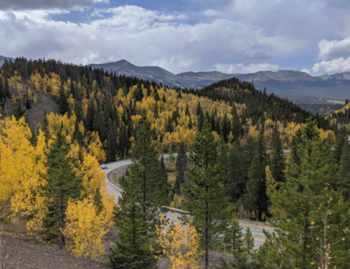 A winding road through a forest of vibrant autumn trees, with mountains in the background under a cloudy sky.