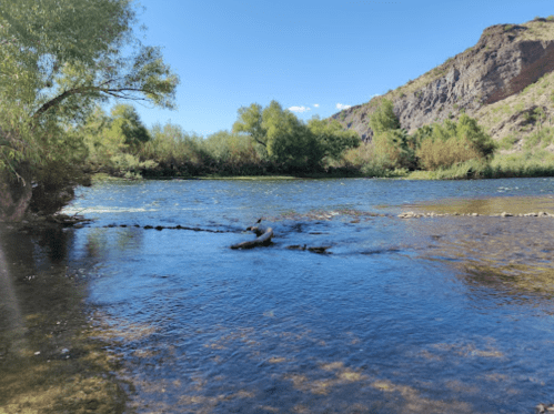 A serene river scene with trees lining the banks and mountains in the background under a clear blue sky.