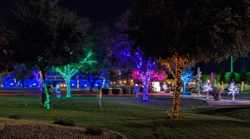 Colorful trees adorned with lights in a park at night, creating a festive atmosphere with glowing decorations.