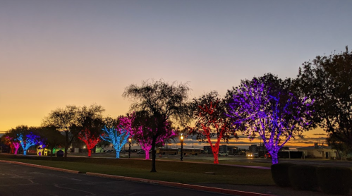 Colorful trees adorned with lights against a sunset sky, creating a festive atmosphere in a park.