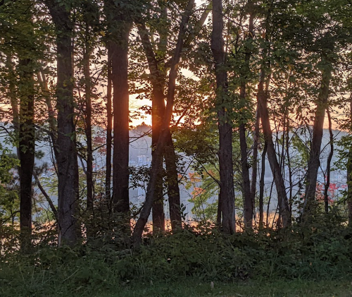 Sunset peeking through trees, casting warm light over a serene landscape with water in the background.